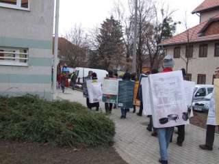 2013.02.09. Farsangi felvonulás 017.JPG 2013.02.09. Farsangi felvonulás 017.JPG