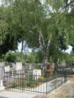 Nyíregyháza, Pazonyi tér, Északi temető: Jósa András 1.kép.jpg Nyíregyháza, Pazonyi tér, Északi temető: Jósa András 1.kép.jpg